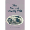The Story of Wookey Hole