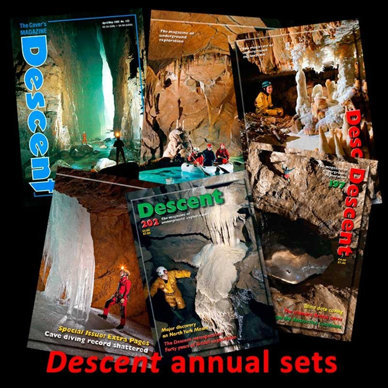 Descent annual sets
