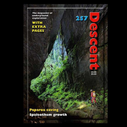 Descent (257)