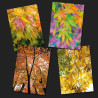 Greeting card pack: autumn leaves