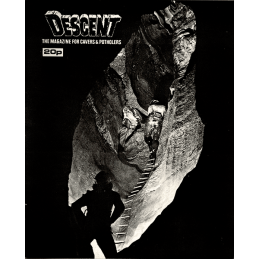 Descent (25)