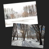 Castle Meadows greeting card pack