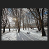 C029 Castle Meadows in snow