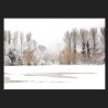 C033 Castle Meadows in snow