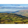 Greeting cards: Scenic