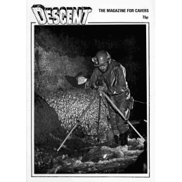 Descent (46)