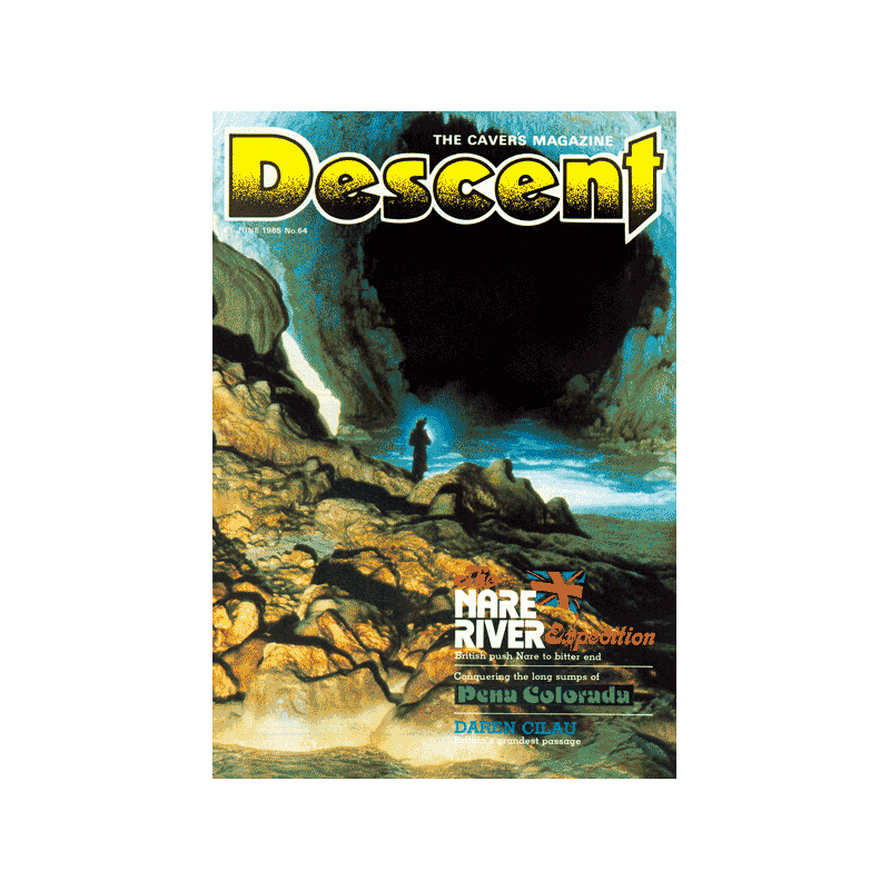 Descent (64)