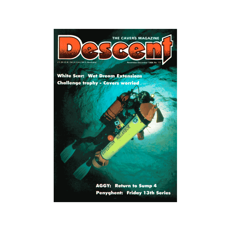 Descent (73)