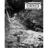 Descent (31)