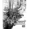 Descent (20)