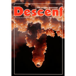 Descent (99)