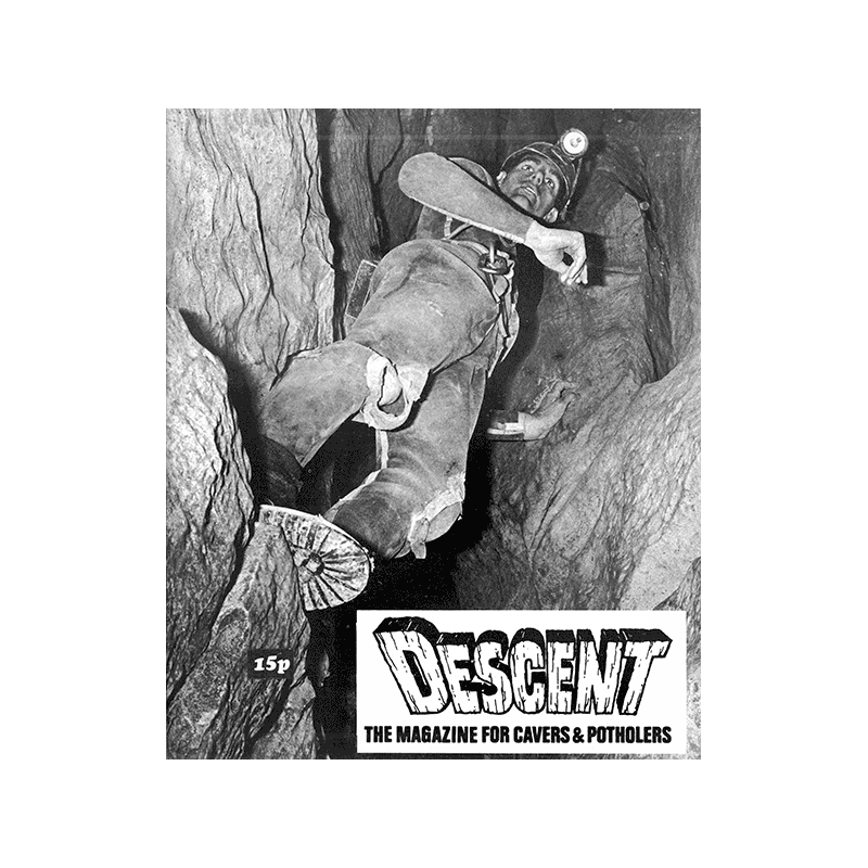 Descent (21)