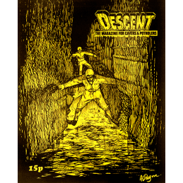 Descent (17)