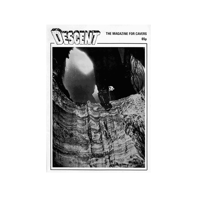 Descent (43)