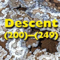Descent back issues: (200)-(249), February 2008 to April 2016