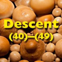Descent (40)-(49), January 1979 to July 1981