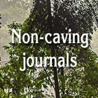 Non-caving journals